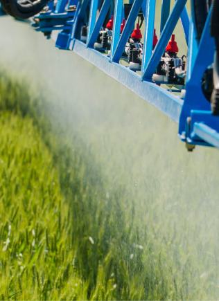 Grünes Getreidefeld mit blauer Pflanzenschutzspritze in Behandlung.